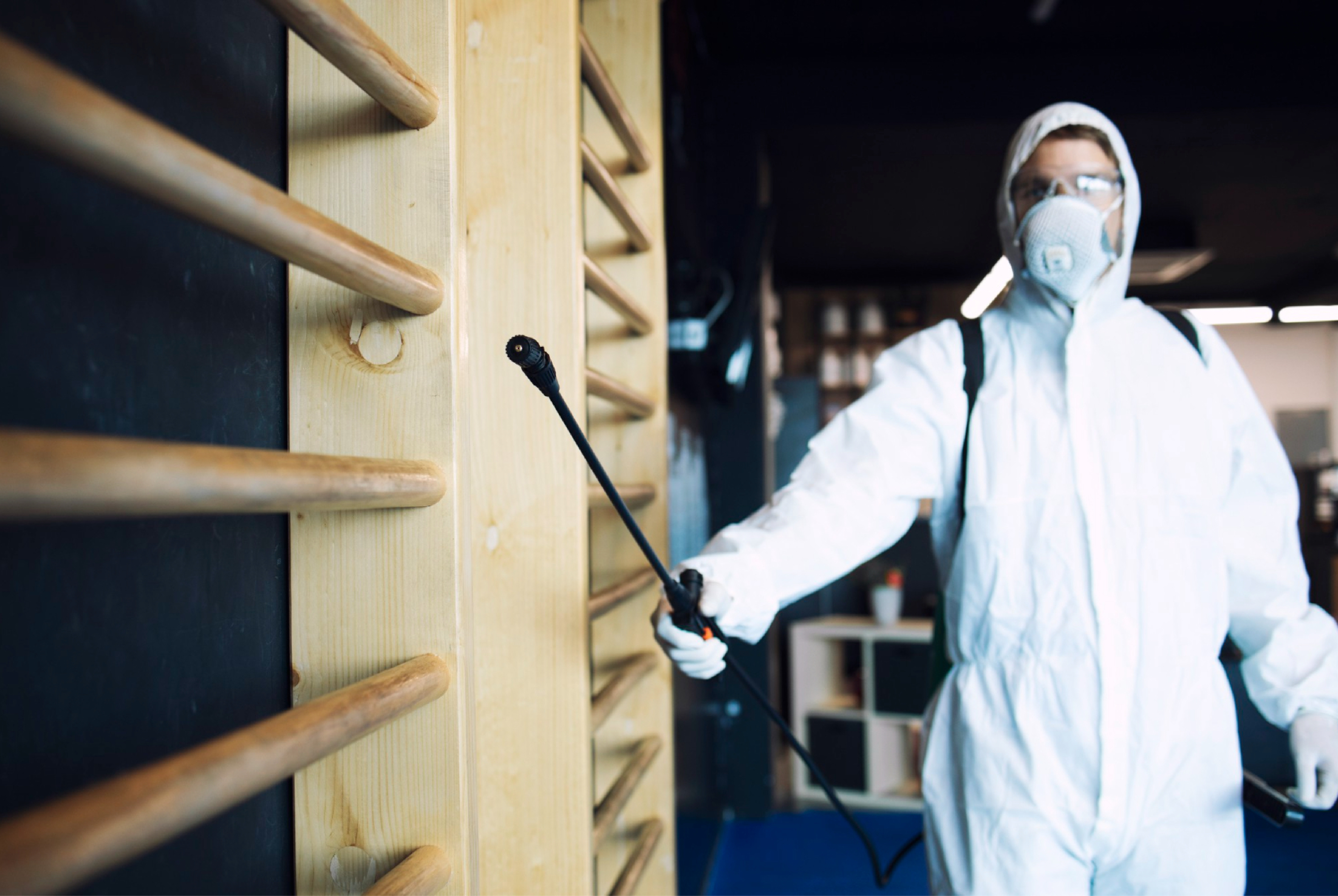 Termite Inspection berwick